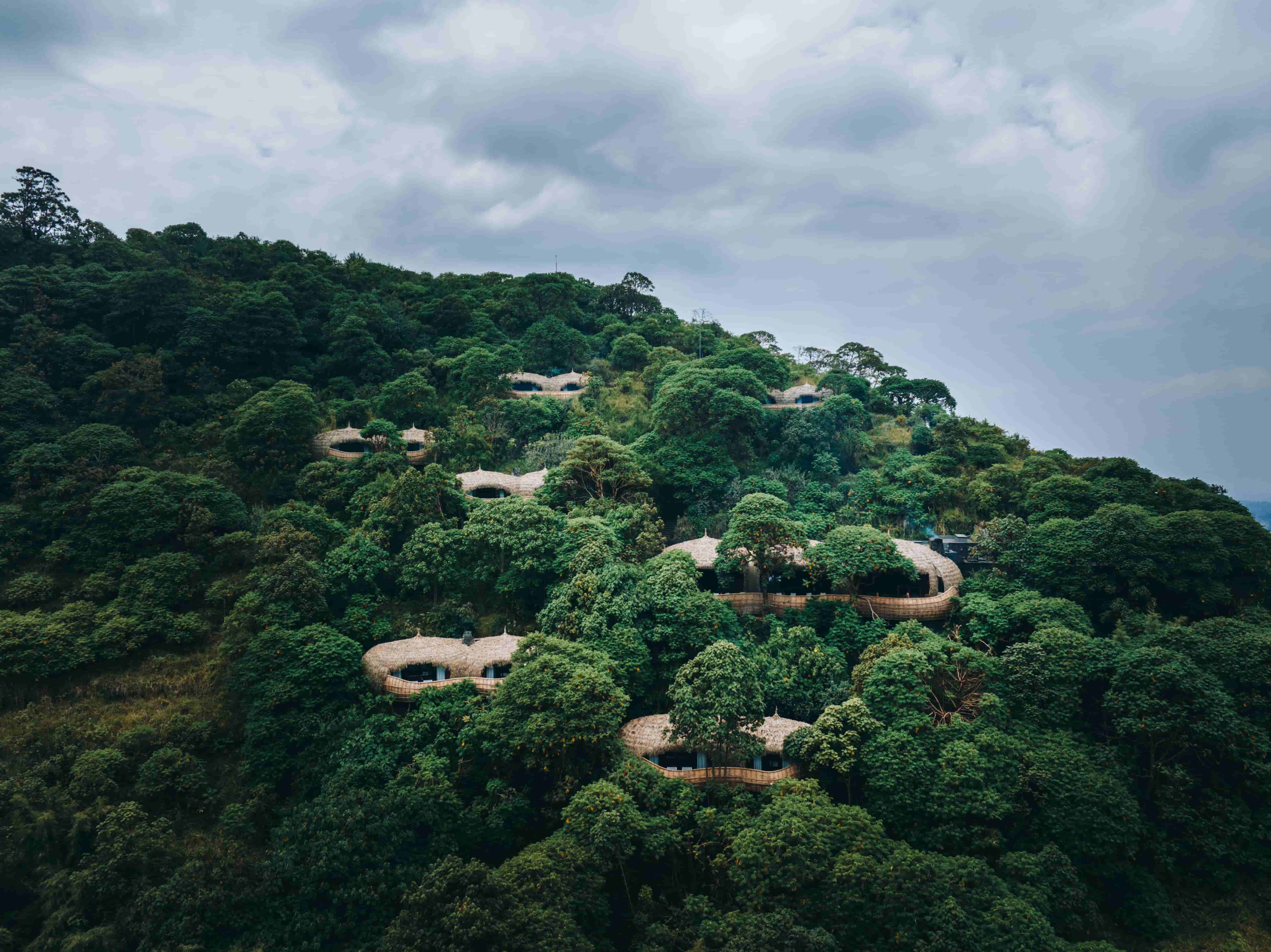Wilderness Bisate, Volcanoes · Rwanda